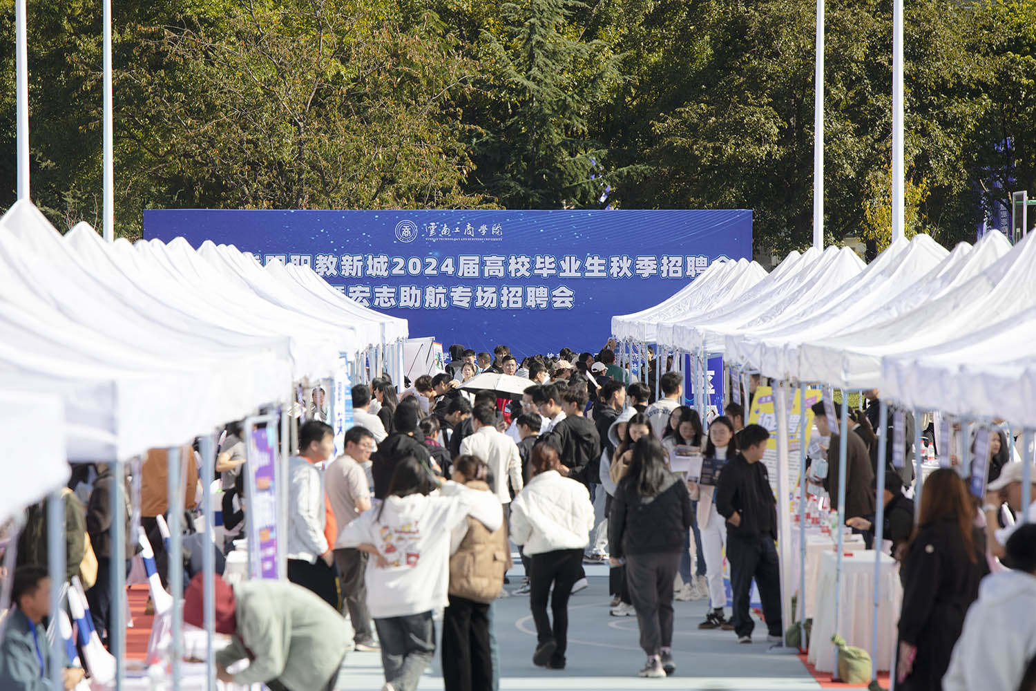 2024秋季照片会现场